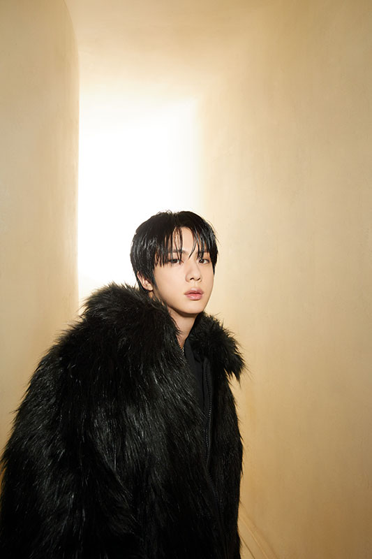 BTS Jin Releases Rockstar Photos for Solo Album 'Echo' – Denise J